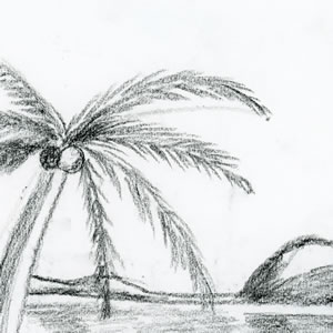 Palm tree
